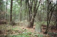 Wentwood Summit