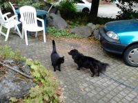 Let&acute;s go for a walk