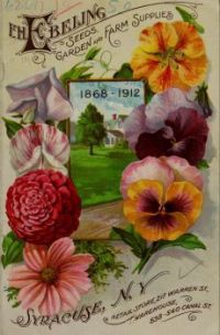 More vintage seed catalogs