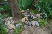 New Rockery