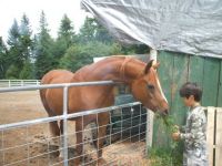 Jesse and thunder 008