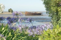 The Wreck of the Janie Seddon