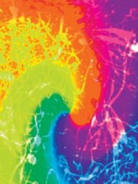 Psychedelic