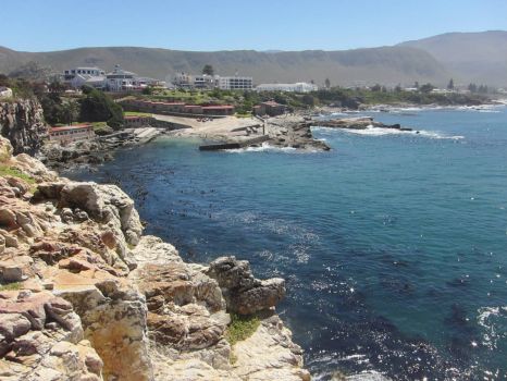 Solve Hermanus jigsaw puzzle online with 130 pieces