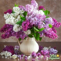 Today's Bouquet . . . . .
