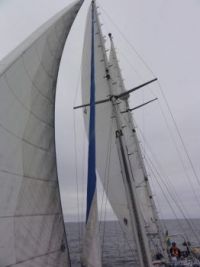 Sails in action