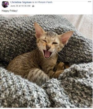 sassy lotus kitty