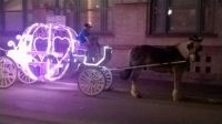 Magical Carriage in San Antonio