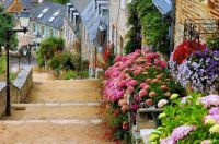 Pretty Street in France