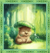 Wombats Rainy Day