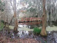 Red Bridge at Magnolia Plantation