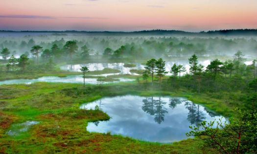 The Wetlands of Estonia