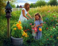 the colors of summer