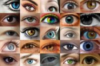 Women's eyes close up 1 (Large)