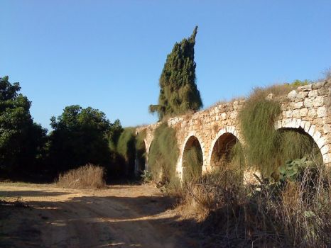 Israel Roman Aquaduct