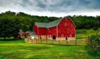 Red Barn In Summer