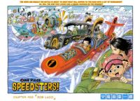 One Piece Race