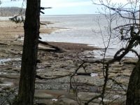 Low Tide - East Rd. - Denman Isl