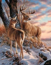 Seasonal Art - Winter - Stag & Doe