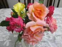 My garden roses