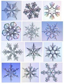Snowflake sampler