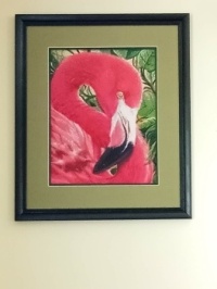 Flamingo