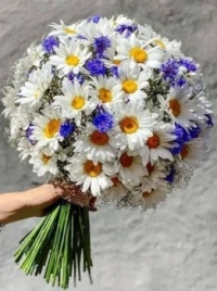 Flowers for today :-)