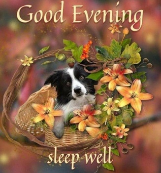 「good evening」 Solve Good Evening Blessings jigsaw puzzle online with 72 pieces