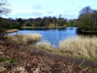 Roundhay Park, Leeds. UK.