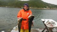 Cod Jigging in Newfoundland