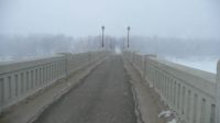 Assiniboine Park Bridge