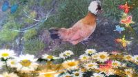 photomania-f14fc3cb8888073123a22ead24b027ef