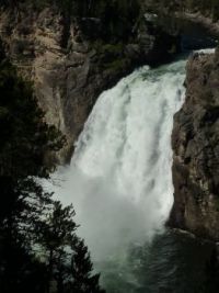 Upper Falls--Yellowstone