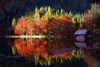 Lake in fall