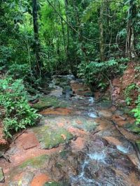 A stream in the jungle of Costa Rica