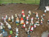 The Gnome gathering.
