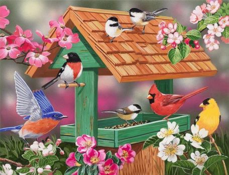 birds-feathers-flowers-birdhouse-colorful-birds-wings-painting-phone-wallpapers-736x564
