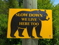 Bear sign