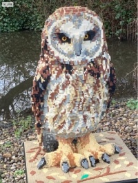 Short Eared Owl Made from Lego.