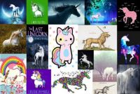 Unicorns!