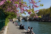 Paris - Square du Vert Galant et Pont Neuf