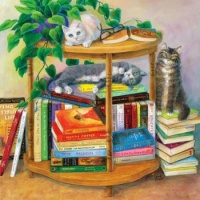 Cats and Books #3