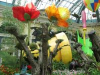 Bellagio Garden 1