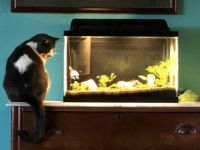 Trip and Slim Shady bonding