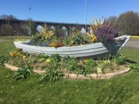 Scotland: Montrose Flowers