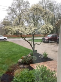 Spring