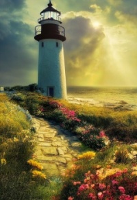 Lighthouse Sunset with Spring Flowers by Paul Brake