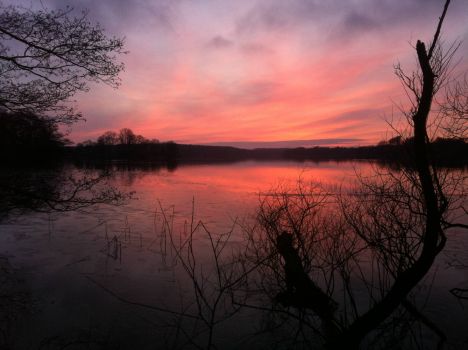 Solnedgang over Farum sø
