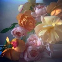 roses