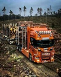 Scania Log Gathering_04
